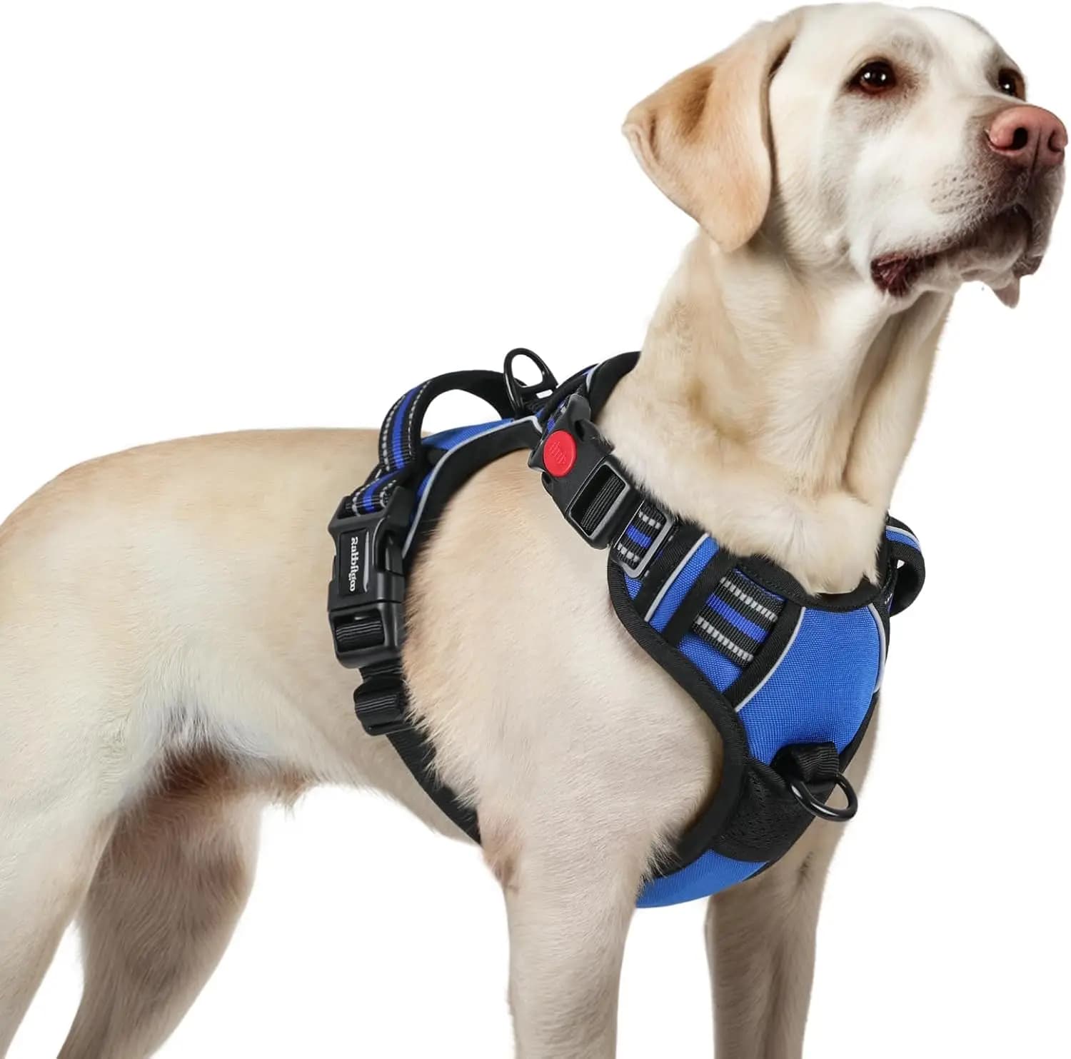 Imbracatura per Cani di Taglia Grande con Design Anti-Trazione, Gilet Imbottito Regolabile, Maniglia Riflettente per il Controllo durante le Passeggiate, Blu Taglia L