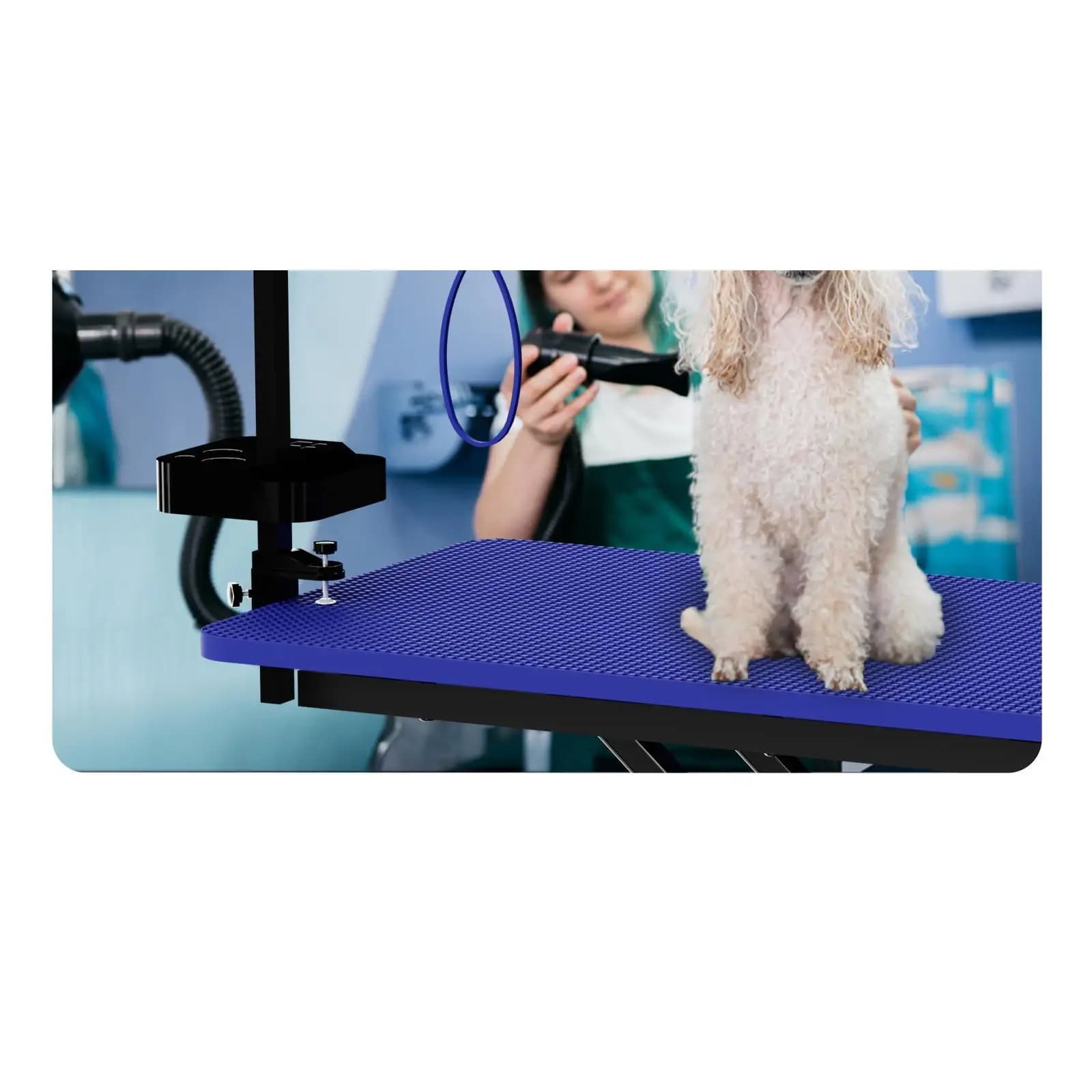 Tavolo da Toelettatura per Cani di Taglia Grande, Blu, Altezza Regolabile, con Braccio e Ganci per la Toelettatura Canina