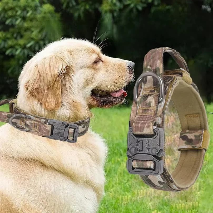 Medium to Large Dogs Tactical Collar Traction Strap Alloy Buckle Dog Collar with Handle Retractable Dog Leash Pet Supplies Sets