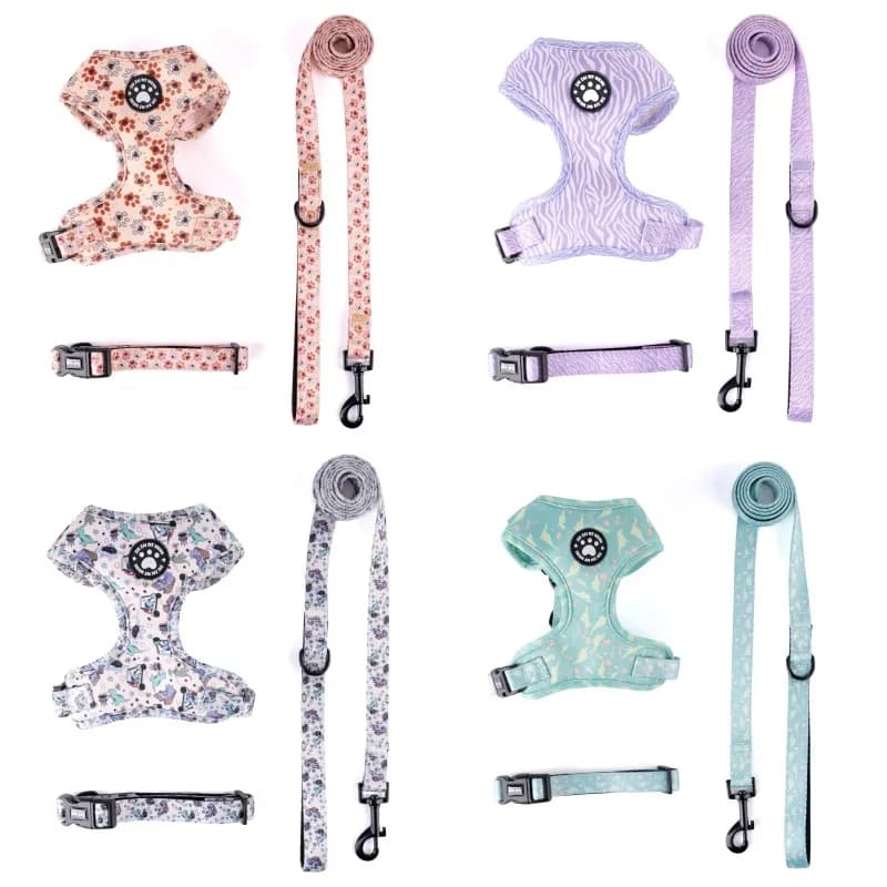Set Pettorina e Guinzaglio Regolabile 3 in 1 per Cani - Gilet Pettorale per Tutte le Stagioni con Fibbia a Pressione, Collare per Cani con Stampa Carina, Set Pettorina e Guinzaglio per Animali Domestici