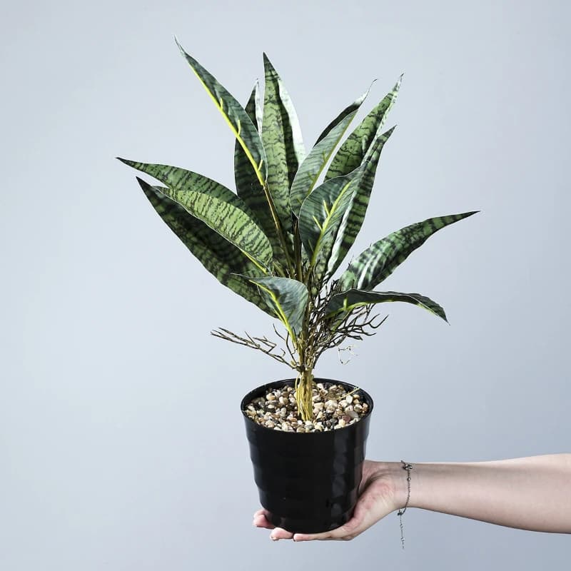 5 Pezzi di Piante Artificiali in Plastica a Forma di Ramo di Piran, Foglie di Sansevieria Simulate per Decorazione di Hotel e Sale