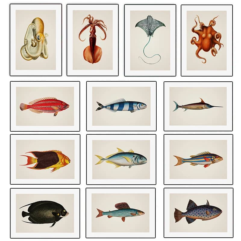 Marine Life Beautiful Tropical Fish Ornamental Fish Enthusiast Illustration Poster Canvas Paintings Wall Art Pictures Home Decor