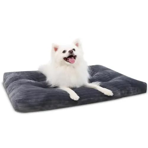Cuccia per Cani Lavabile per Cani di Taglia Media, Letto Deluxe in Flanella Spessa e Soffice, Tappetino Comodo per Kennel, Antiscivolo e Antigraffio per Animali Domestici