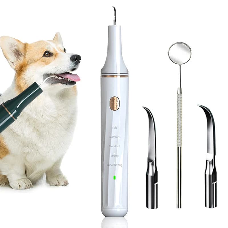 Dog Toothbrush for Home Use Portable Toothbrush Ultrasound White Teeth Electric Clean Professionally Pet Supplies