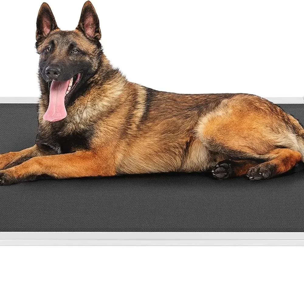 Letto per cani rialzato a prova di masticare - Lettino rialzato rinfrescante per animali domestici - Struttura in alluminio argentato e tessuto a rete in Textilene resistente, progettato unico