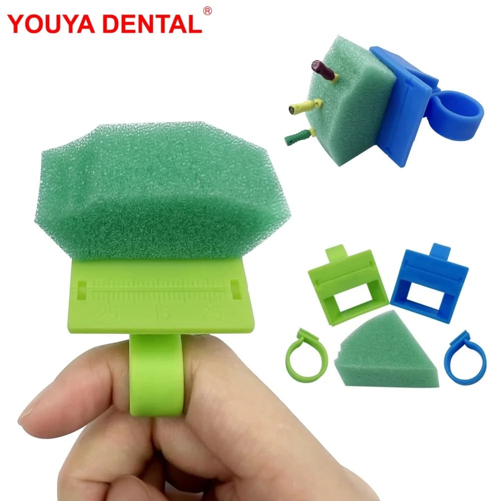 Portadocumenti per endodonzia dentale Supporto per file per canale radicolare endodontico Tipo di anello per dito con righello di misurazione Spugna in schiuma per pulizia Strumento per dentista