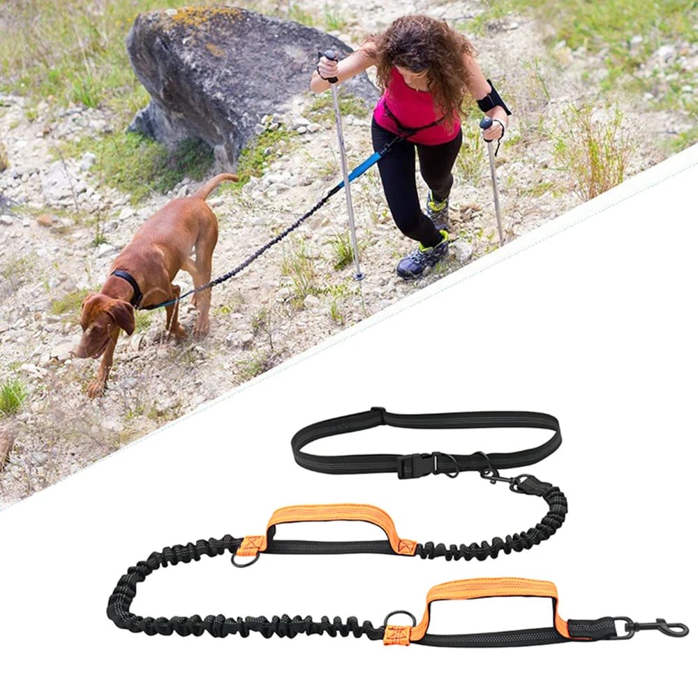 Double Elastic Reflective Running Guinzaglio for Portable Retractable Dog Chain leash for Dogs Supplies for Wholesale Pet