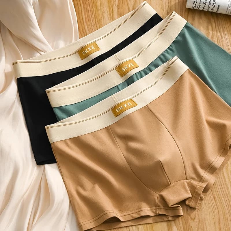 1Pcs Boxer Shorts Men's Underwear Sexy Panties Cotton Comfortable and Soft Underpants Male Boxers U Convex Lingerie Plus Size