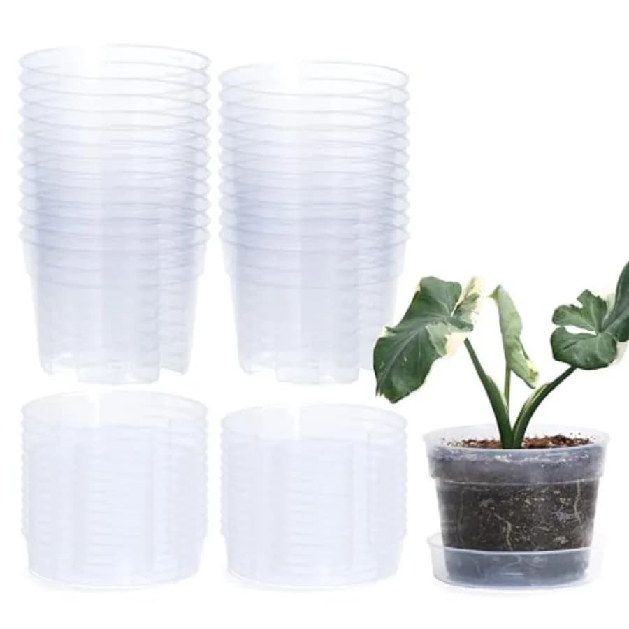 6 Inch Clear Plastic Plant Pot with Drainage Holes for Indoor Gardening, BPA-Free Transparent Plastic, Clear Color, Interlockin