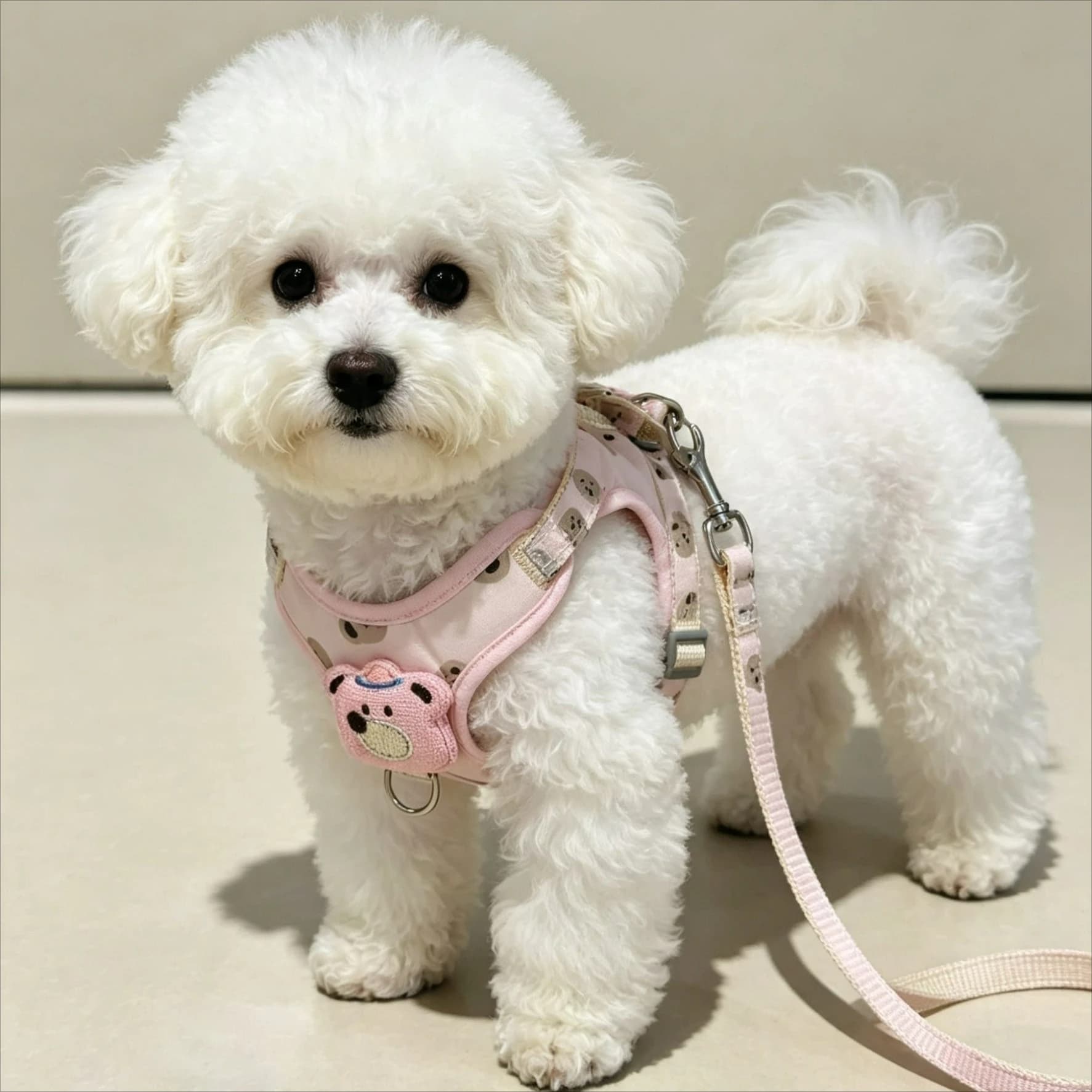 Cute Cartoon Adjustable Dog Leash Vest for Outdoor Walking Cats and Dogs Pet Collars Harness with Traction Rope Dogs Accessories