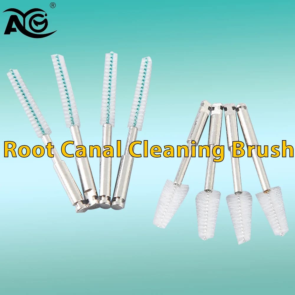 AG 2 Pieces Cleaning Brushes Radical Channels, Brushes for Dentists, Dentist Materials