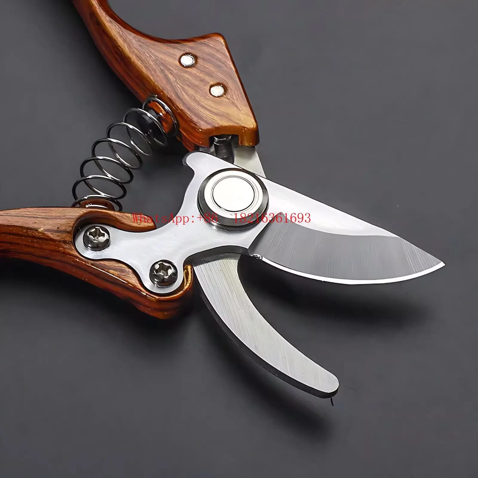 Powerful and Sharp Pruning Branch Shears for Garden Fruit Trees for Household Labor-saving Floral Scissors for Gardening