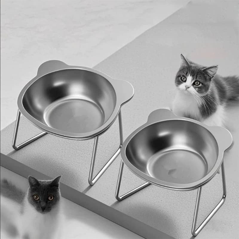 Ciotole per gatti rialzate in acciaio inossidabile 304 Protezione per il collo inclinata Ciotola per cibo per gatti infrangibile Elevata 15 ° Forniture per animali domestici per cuccioli di gatto