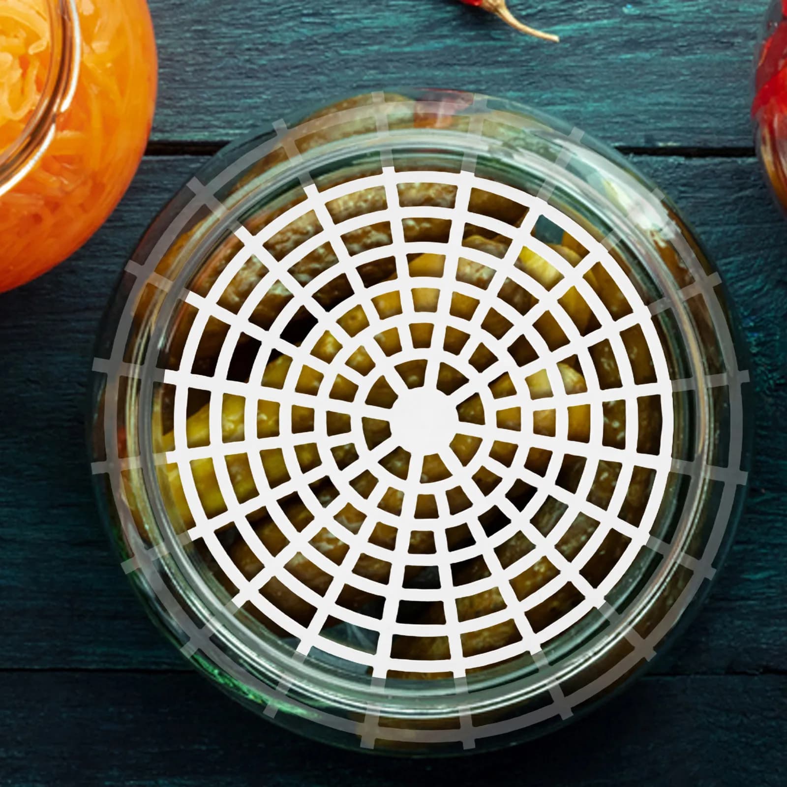 10 Pezzi Pesi in Plastica per Fermentazione Sottaceti, Piastre a Rete per Barattoli a Bocca Larga, Accessori per la Fermentazione di Verdure Sottaceto
