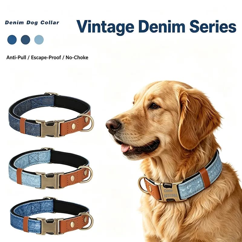 Personalized Dog Collars with Leash Fashion Denim Dog Collar Pet Traction Rope Set Free Custom Id Name Walking Outdoor Supplies
