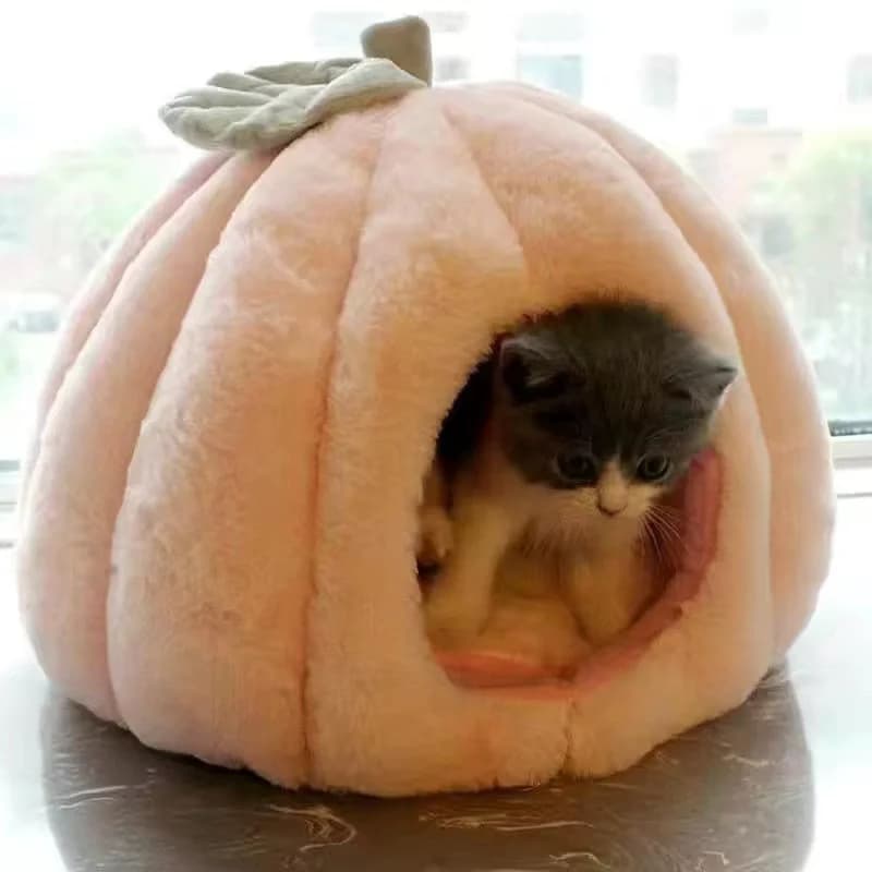 Divano per cani Grande letto adorabile Casa per animali domestici Accessori per cani Razze di piccole dimensioni Accessorio Biancheria da letto Forniture per animali Cuscini Tappetino Cuscino per coperta cattiva