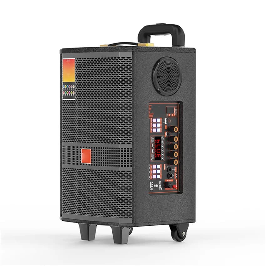 Altoparlante portatile da 1000 W senza fili Bluetooth Karaoke esterno ad alta potenza Subwoofer ad alto volume per uso domestico 220 V