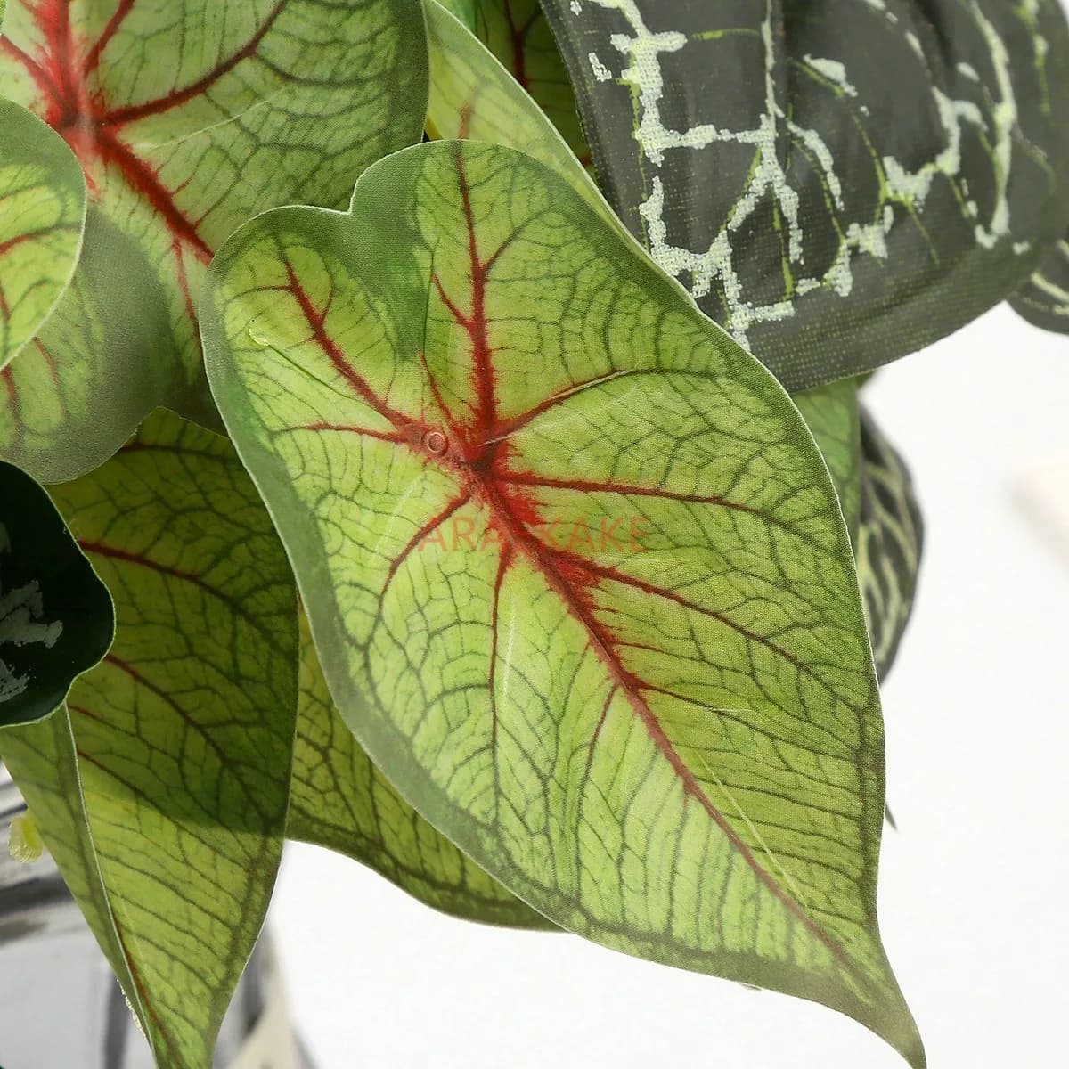 flower arrangement, leaves, turtle back leaves Mini simulation of plants, green plants, potted plants, decoration,