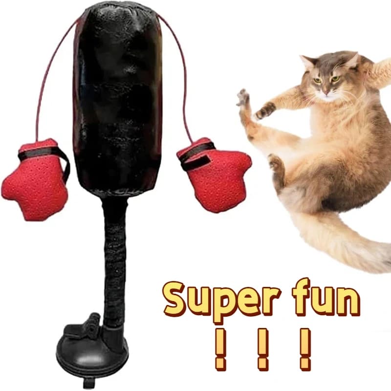 Punch Cat Toy Cat Punching Bag Toy Paw Punch Cat Toy with Dangling Boxing Gloves and ABS Base for Indoor Play