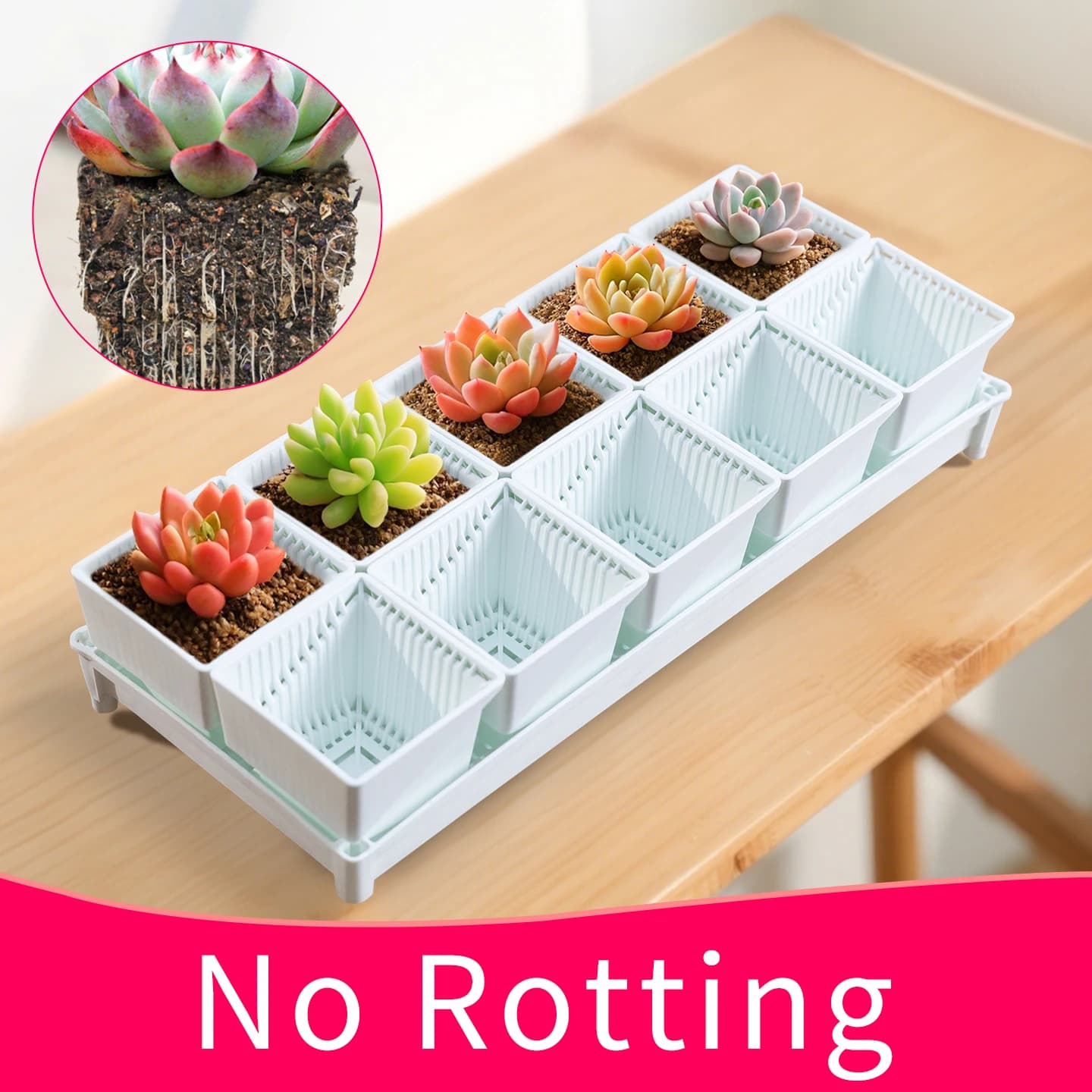 Vasi per fioriera per piante grasse quadrate Meshpot con set di vassoi, vaso per vivaio, vaso per piante di cactus, vaso in plastica da giardino, multi formato