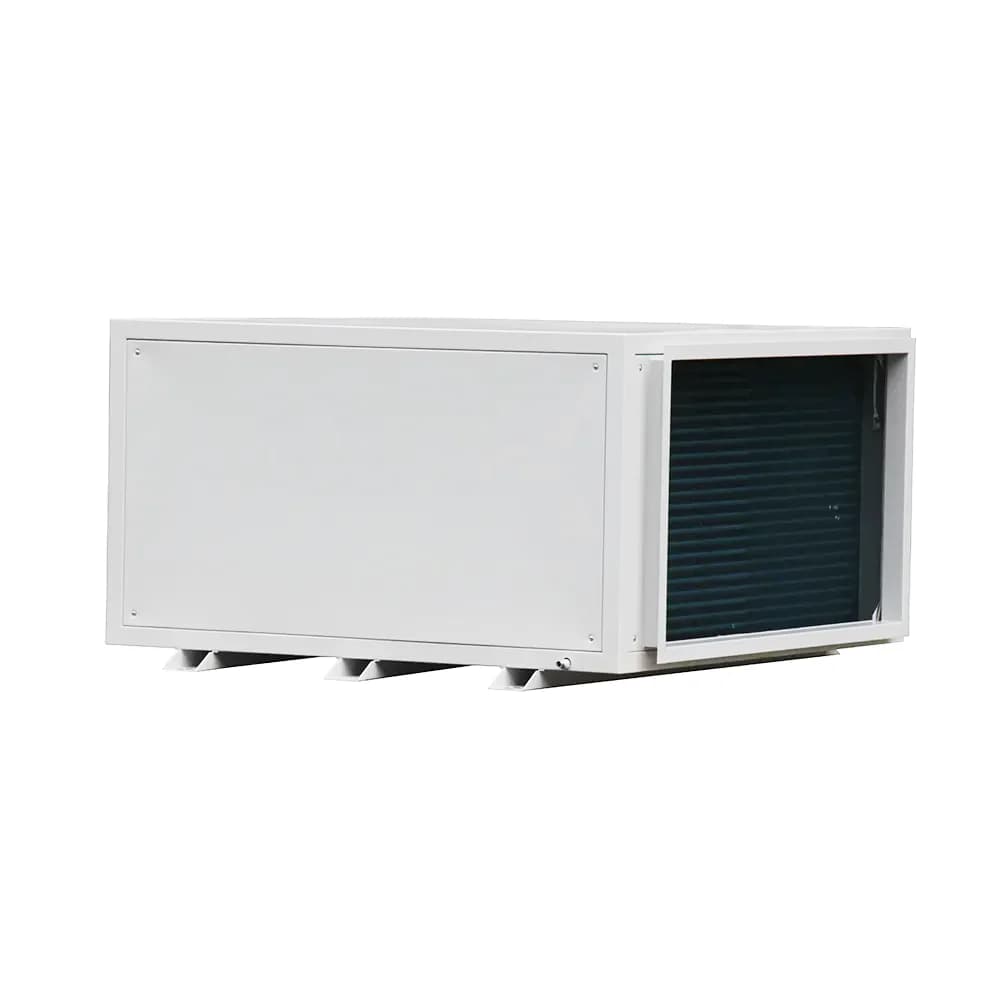 Applicable To 50L/D High Efficiency Ceiling Mounted Dehumidifier Indoor Dehumidifier Swimming Pool Dehumidifier