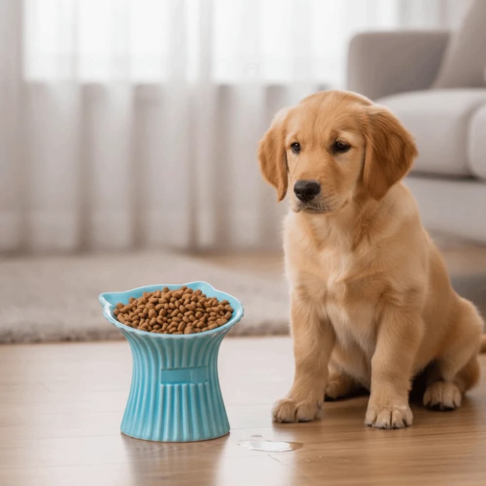Ciotola per Gatti in Ceramica con Base Antiscivolo, Bocca Larga, Design a Orecchie di Gatto, Anti-Ribaltamento, per Alimentazione e Abbeveraggio