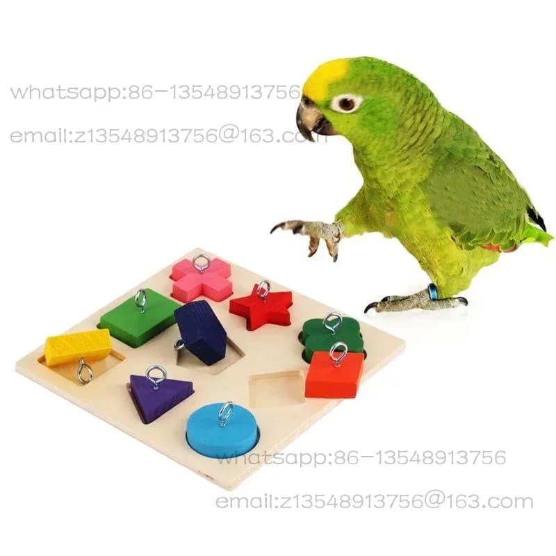 Formazione interattiva, blocchi di legno, puzzle di uccelli, forniture