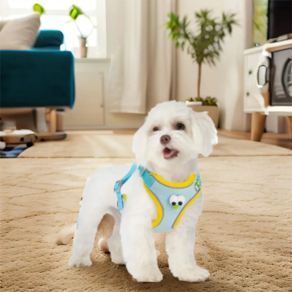 Gilet per imbracatura per cani da cartone animato Cinghie pettorali per gatti traspiranti con occhi grandi con set di imbracatura e guinzaglio per cani regolabili con corda di trazione