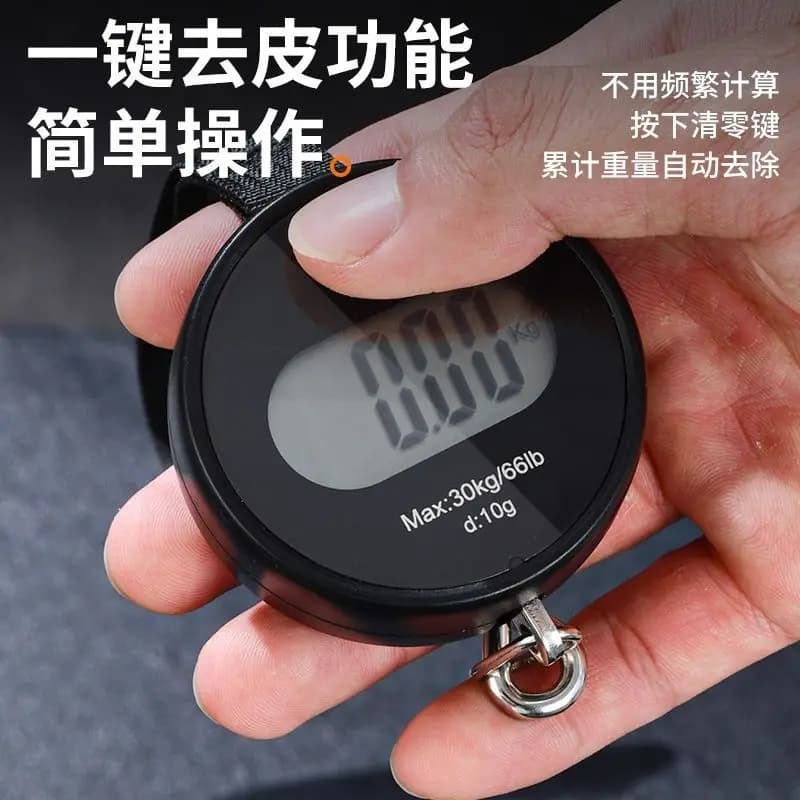 Fishing Special Portable Scale Mini Portable High-precision Electronic Scale Luggage Weighing Device