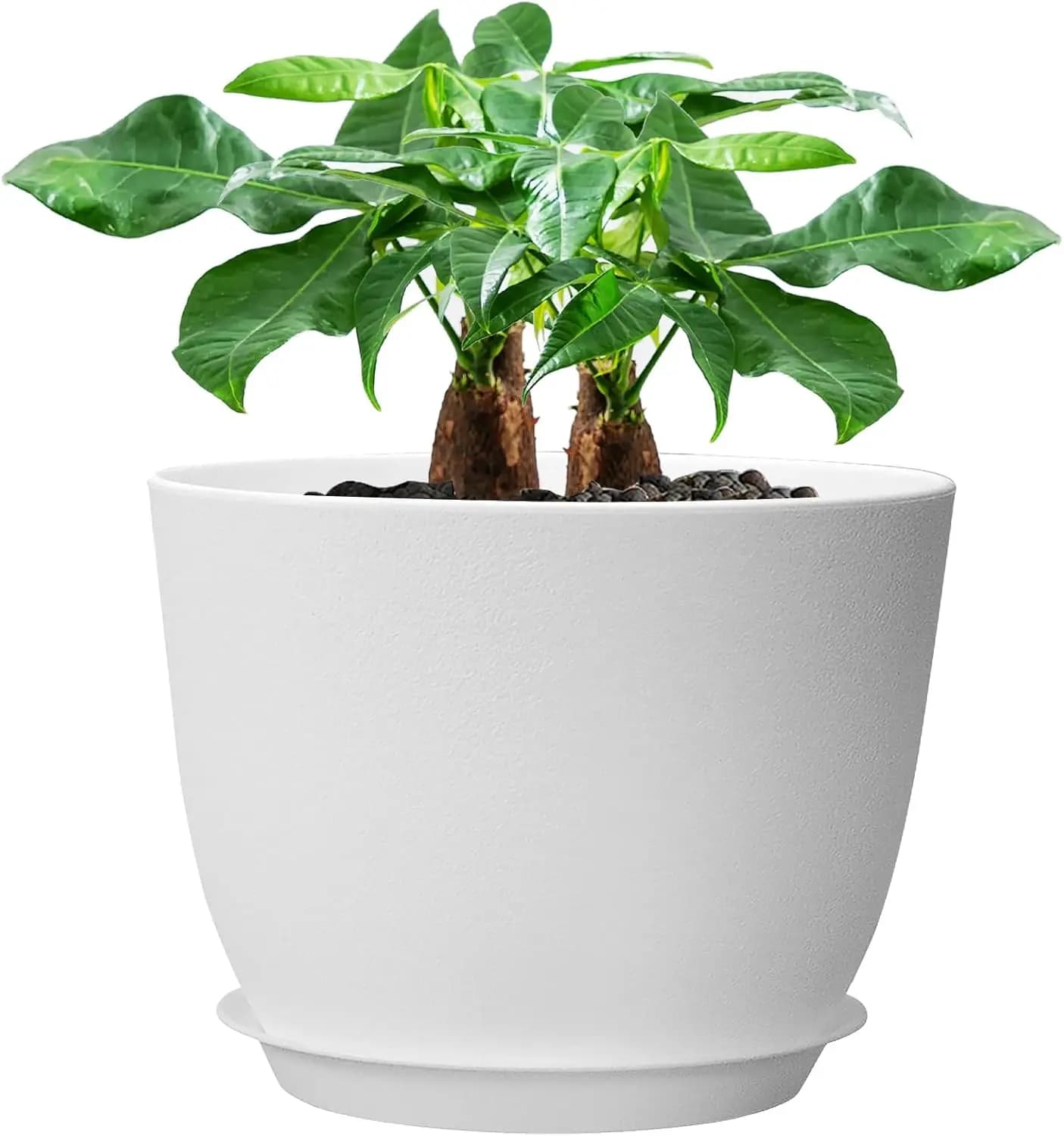 Vaso Moderno Grande da 12 Pollici con Fori di Drenaggio e Sottovaso per Piante e Fiori da Interno ed Esterno, Bianco