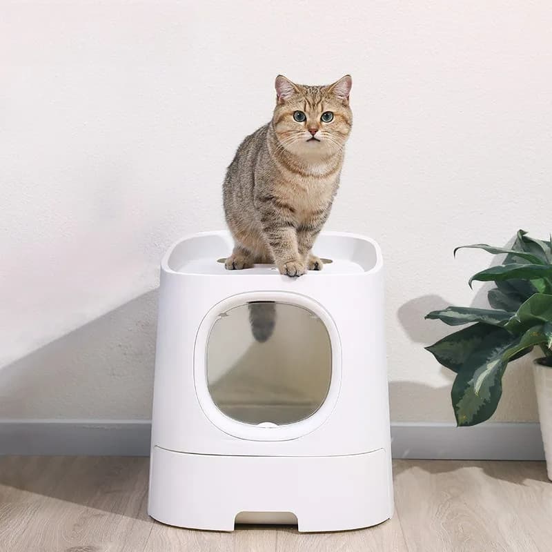 Lettiera per Gatti di Prima Classe Chiusa e Semi-Chiusa - Anti-Schizzo, Controllo Odori, Recinzione Alta, Materiale PP