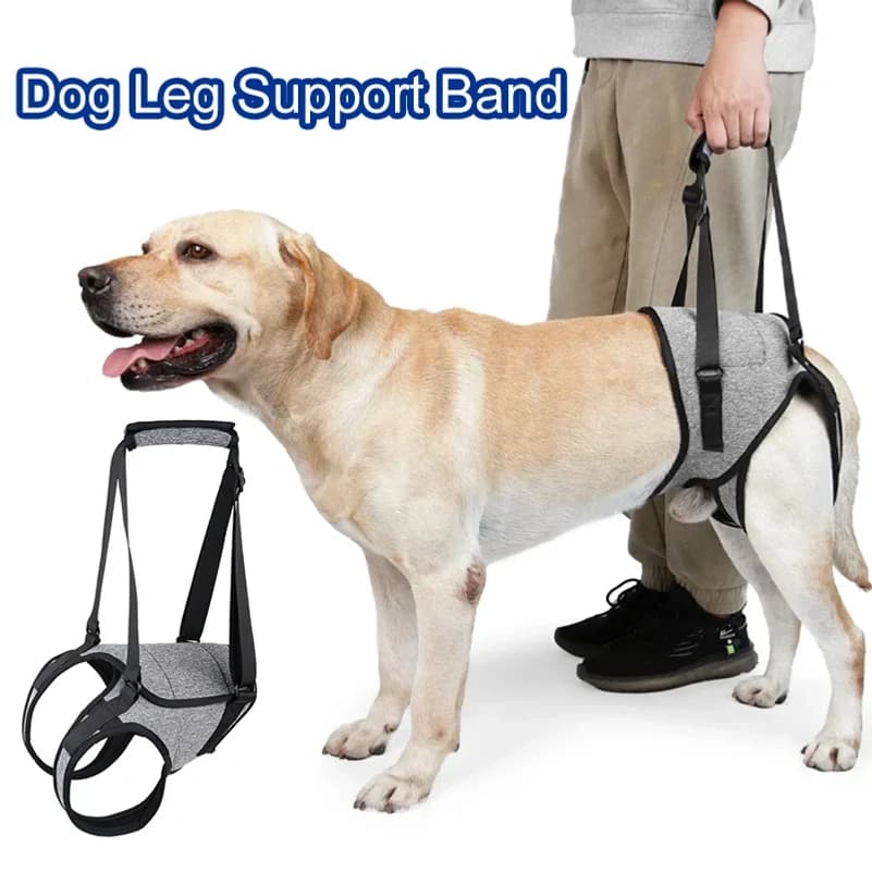 Adjustable Dog Lift Harness for Large Dogs Dog Soft Padded Back Leg Sling for Old Disabled Joint Injuries Pet Rear Leg Support