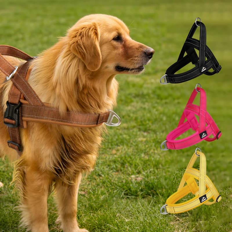 Imbracatura Tattica per Cani Senza Trazione, Gilet Riflettente per Cani di Taglia Grande e Media, Collare Leggero Anti-Fuga per Esterni
