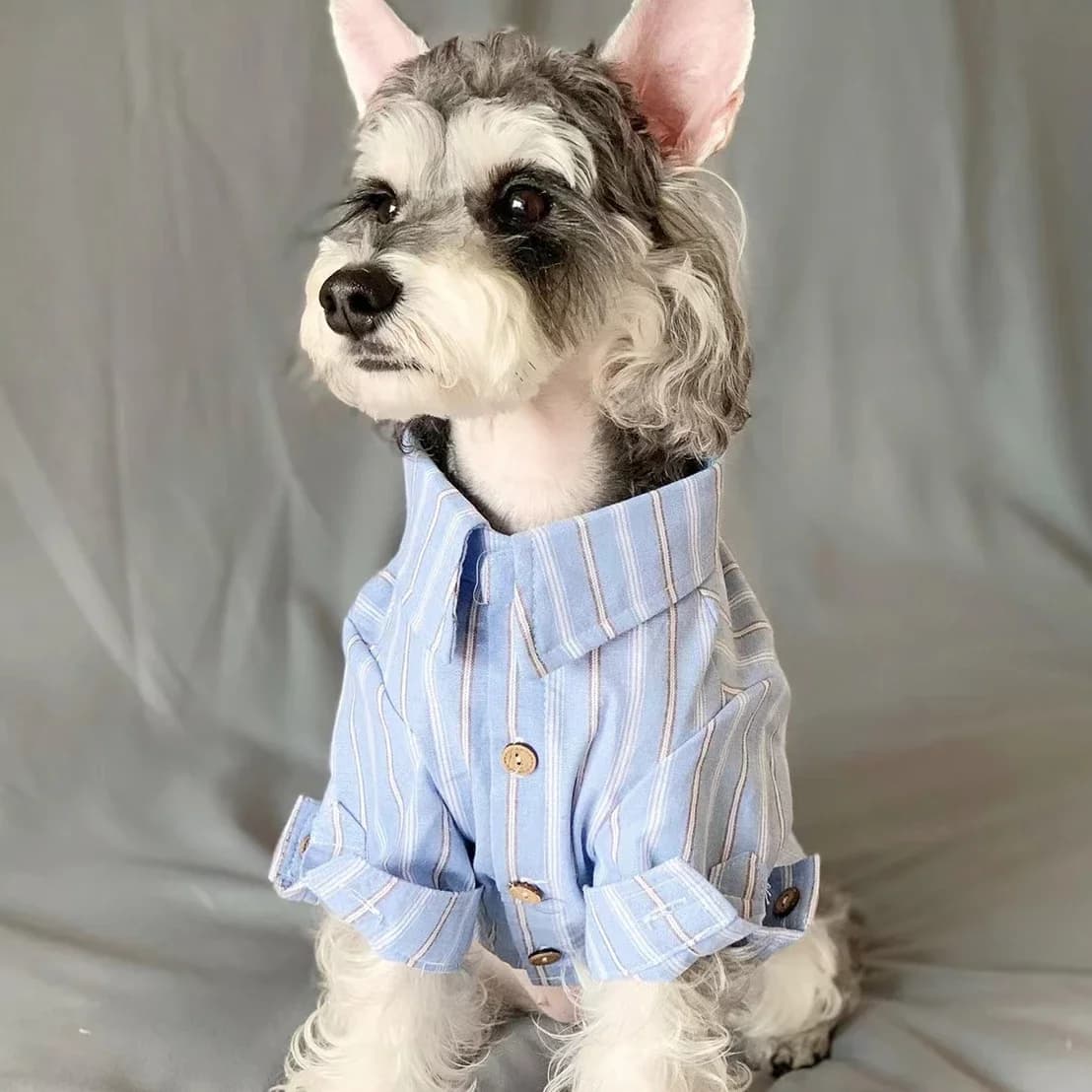 Vestiti per animali domestici Camicia a righe sottili per cuccioli di gatto