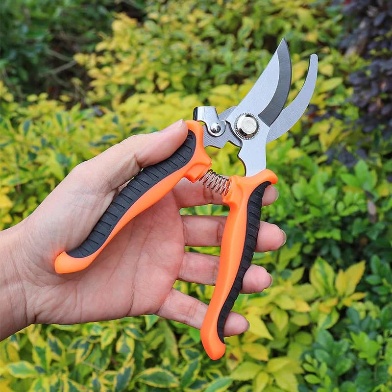 Forbici da Giardino in Acciaio Inossidabile con Lama Affilata e Impugnatura Antiscivolo, Cesoie a Molla per Taglio di Fiori e Rami, Utensili da Giardinaggio