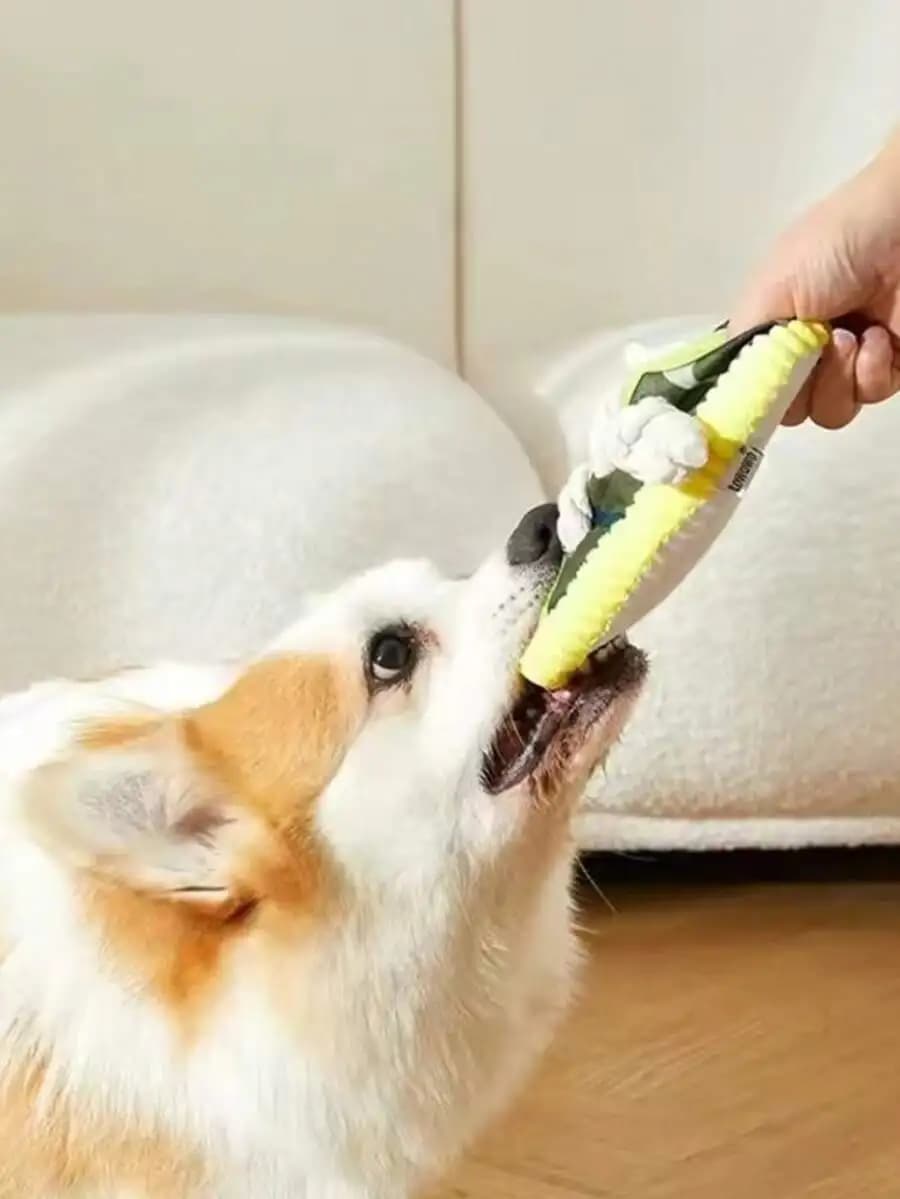 Sneaker-Shaped Dog Chew Toy With Squeaker And Rope, Durable Nylon For Small Medium Dogs