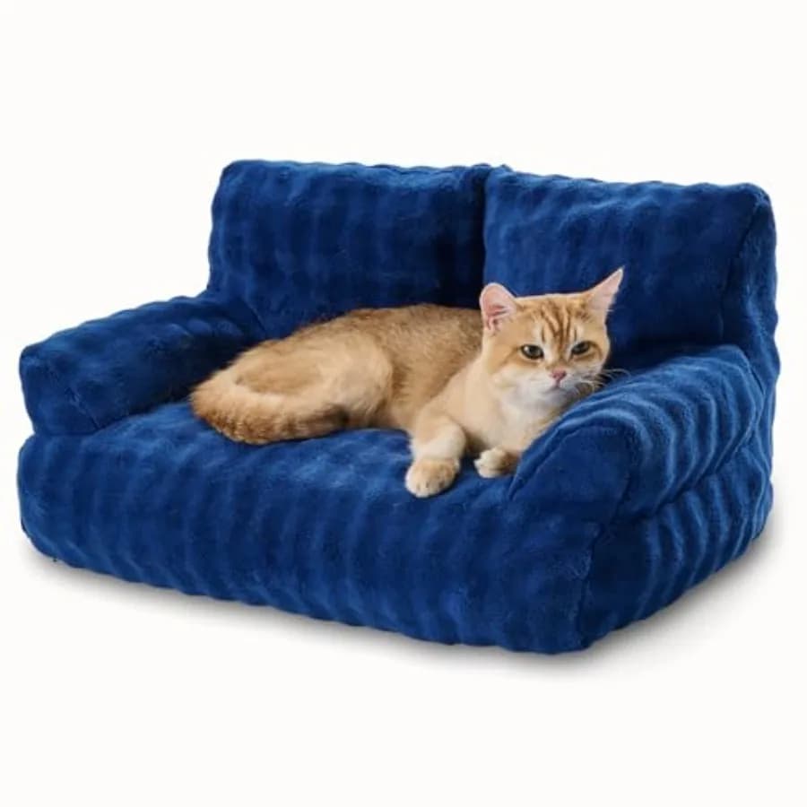 Divano Letto per Gatti, Morbido e Carino, per Gatti da Interno e Cuccioli, con Rivestimento Rimovibile e Lavabile, 26"x15", Blu Navy