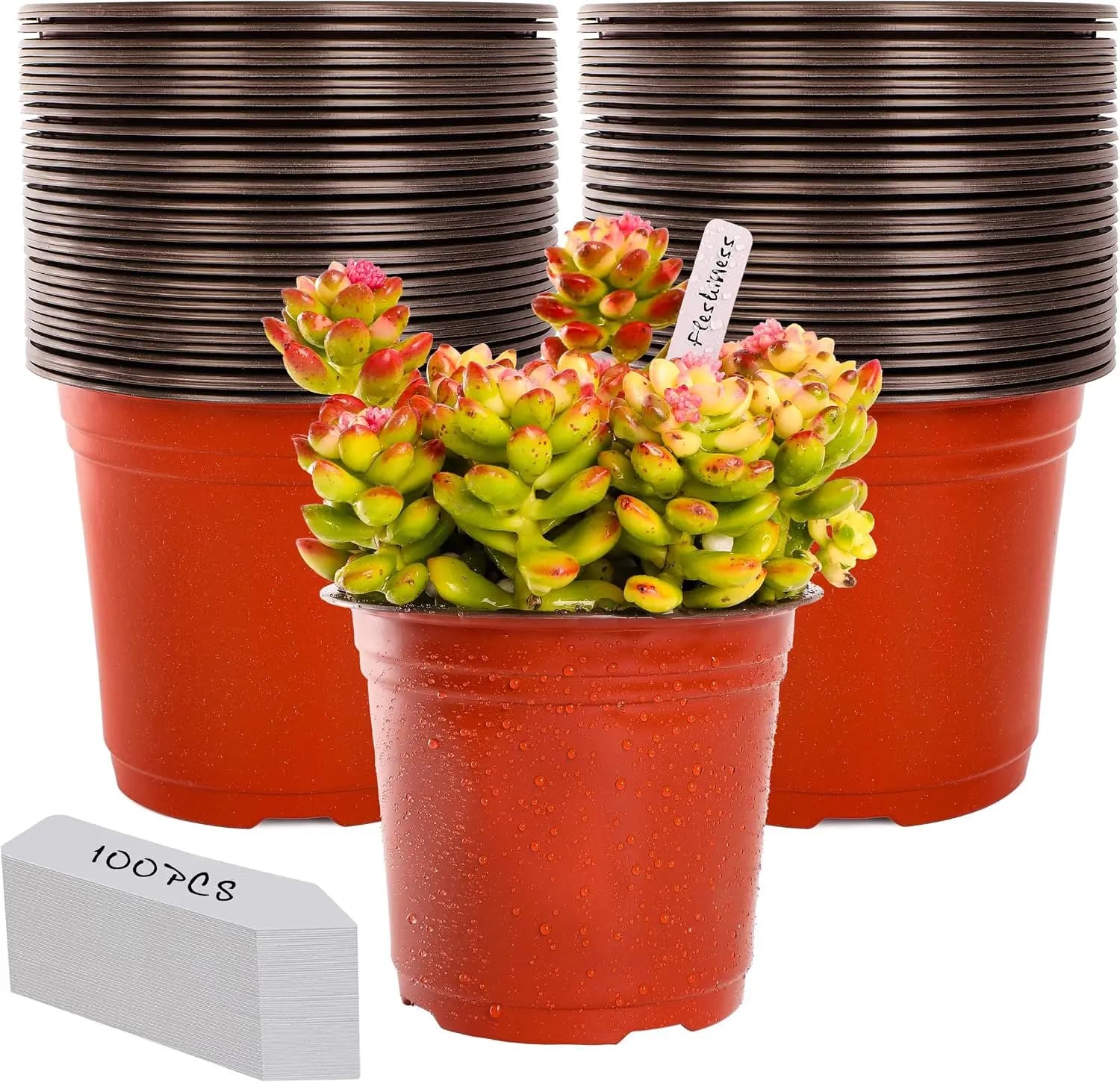 100 Pcs 6" Plastic Plant Nursery Pots with Labels, Seed Starting Pots for Indoor Outdoor Plants, Small Flower Pots with Drainage Holes