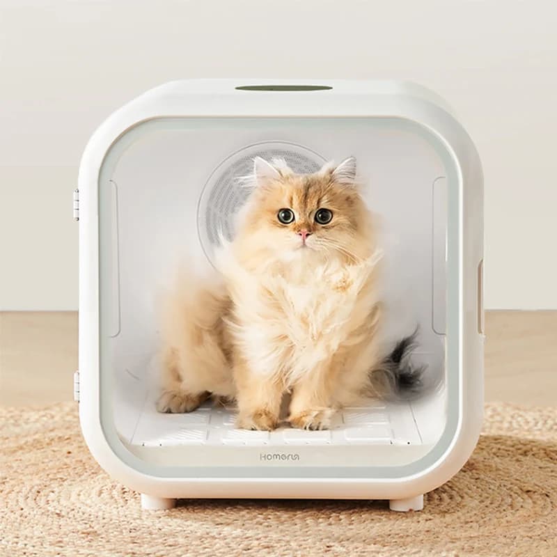 Asciugatrice Automatica Intelligente per Animali Domestici, Ventilatore per Asciugatura Gatti, Macchina Soffiante d'Acqua per Cani, Asciugacapelli