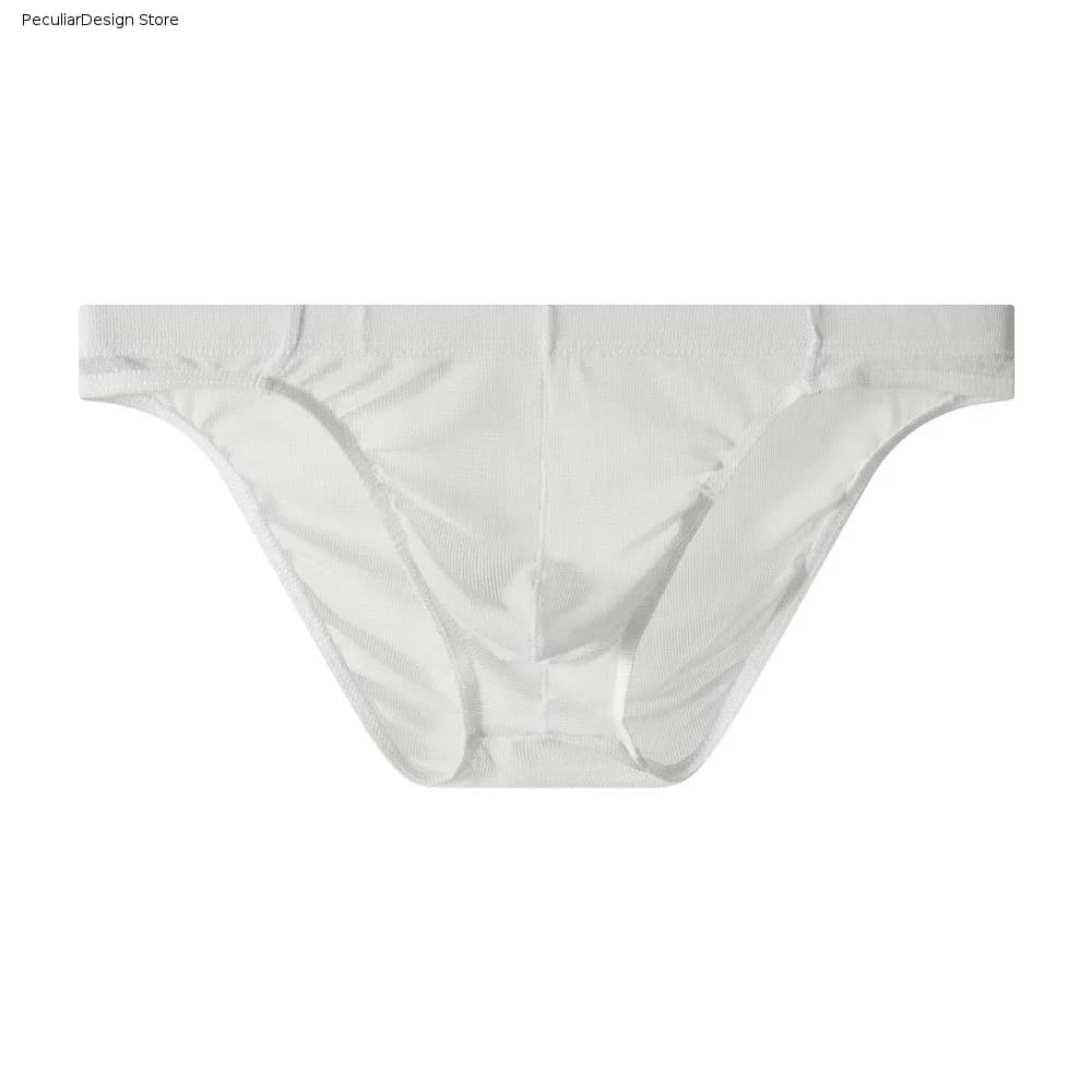 Underpants Lingerie Men Mesh Triangle Panties Low Waist Transparent Men Thin Briefs Thin Soft Comfortable Underwear for Men Male