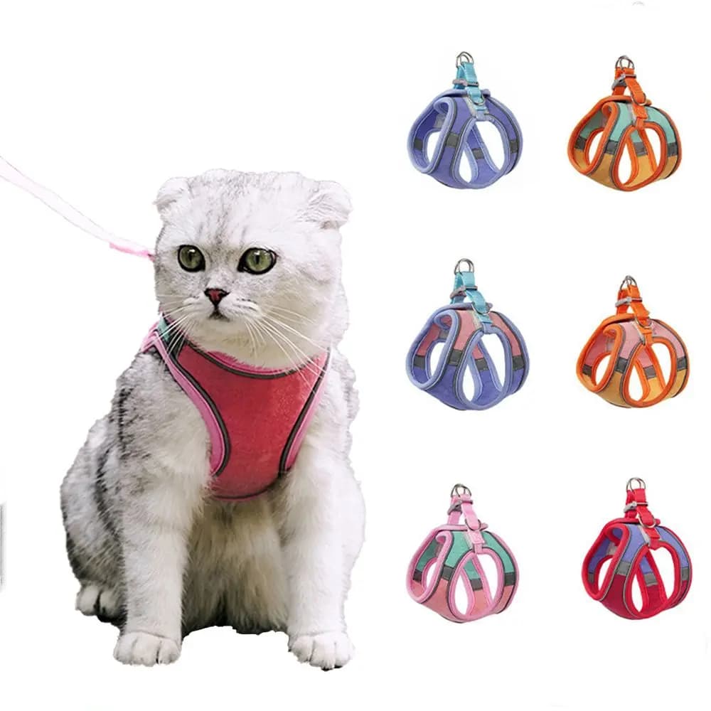 Pettorina per Cani Piccoli e Medi con Cinturino Riflettente, Guinzaglio, Collare Morbido e Traspirante per Gatti, Accessori per Animali Domestici