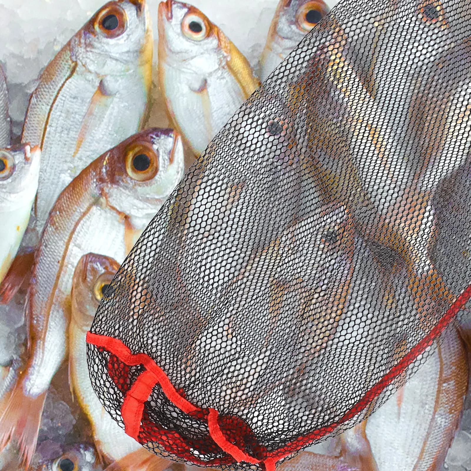 Set di 1 borsa a rete da pesca portatile, rete per la pesca all'aperto, chiusura con coulisse, fondo rinforzato, compatta, leggera, facile da lavare