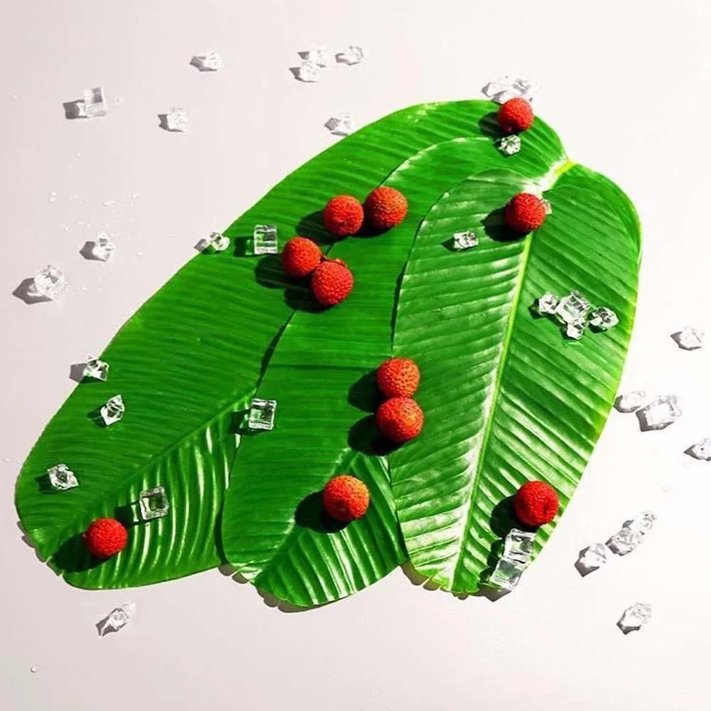 Green Artificial Banana Leaf Place Mats Large Palm Tree Leaves Green Plants Heat Resistant Water-proof Fruits Plate