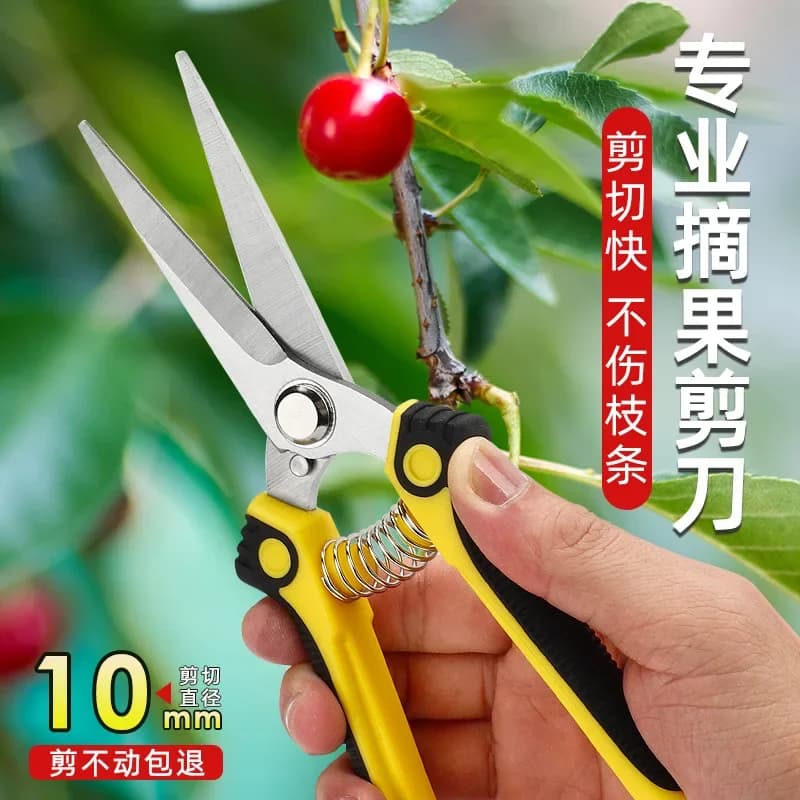 Garden scissors with ultra sharp stainless steel straight blades for flower and fruit harvesting Hand pruning shears from gardening