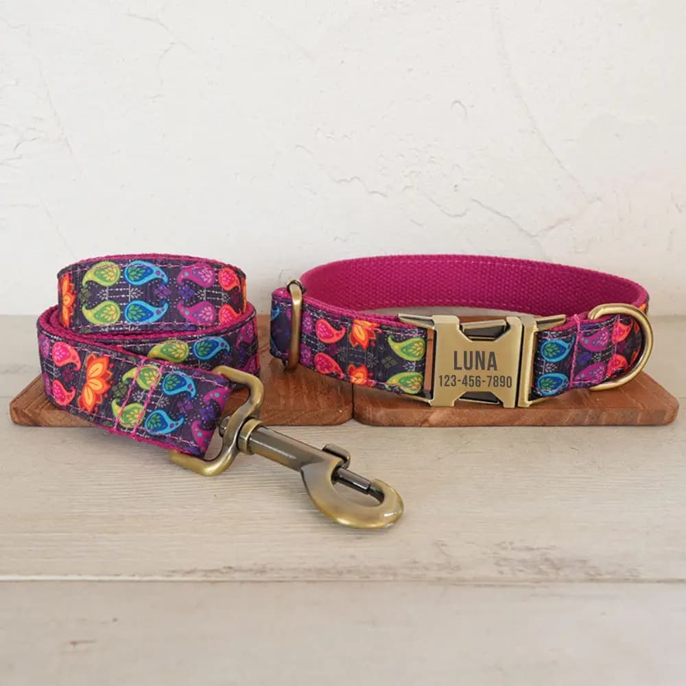 Collare per cani personalizzato con incisione gratuita, guinzaglio per animali abbinato, fibbia in metallo per contatti personalizzati, collare per il regno dell'acqua al neon