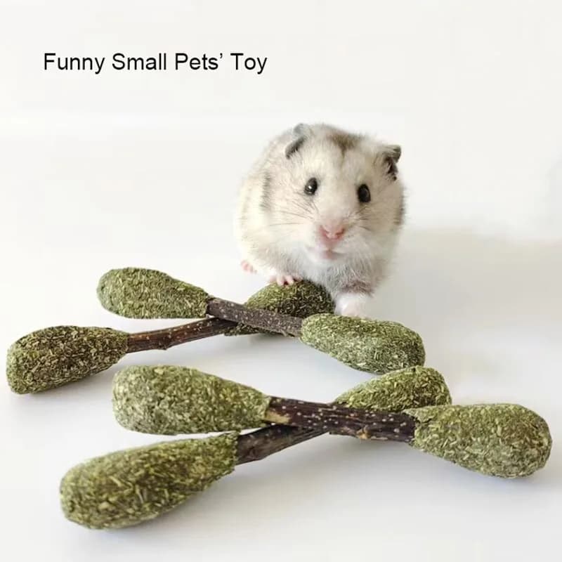 Giocattolo per criceti Criceto Orso dorato Foraggiamento Rosicchiare i denti Corda per morso in legno Giocattolo per snack Criceto Forniture per animali domestici