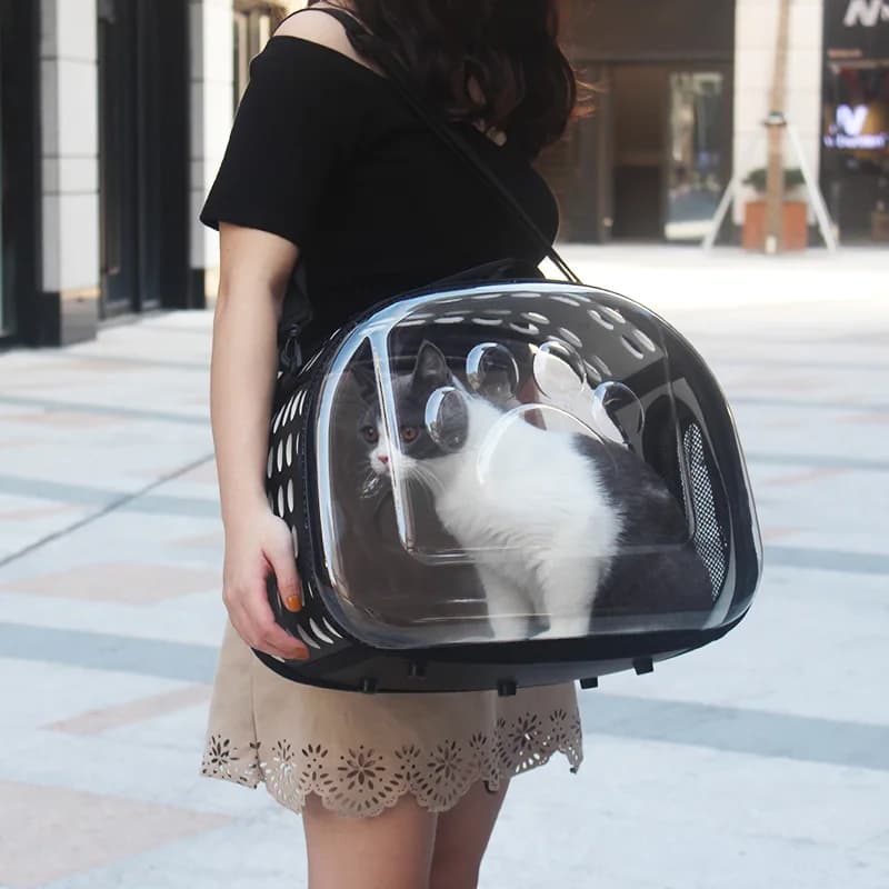 Borsa Trasparente per Trasporto Gatti, Portatile, Traspirante, Pieghevole, per Cuccioli, Gabbia da Viaggio, Borsa per Cani Piccoli e Gattini