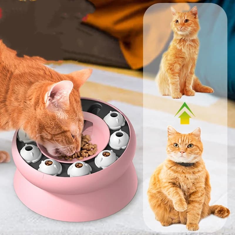 Giocattoli interattivi per gatti Ciotola per alimentatore lento Alimentatore puzzle per gatti da interni Giocattolo per animali domestici Aiuto per la digestione e la stimolazione mentale