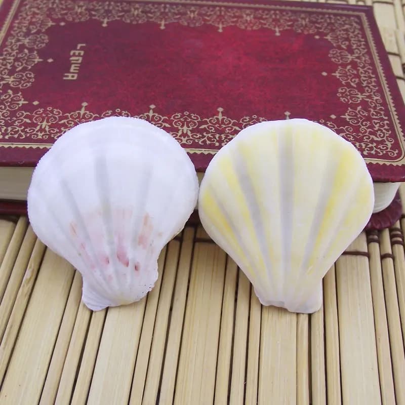 Thick White Pecten Shell Natural Conch Wall Sticker Aquarium DIY Home Decor Aquarium Base Wind Chime Accessory