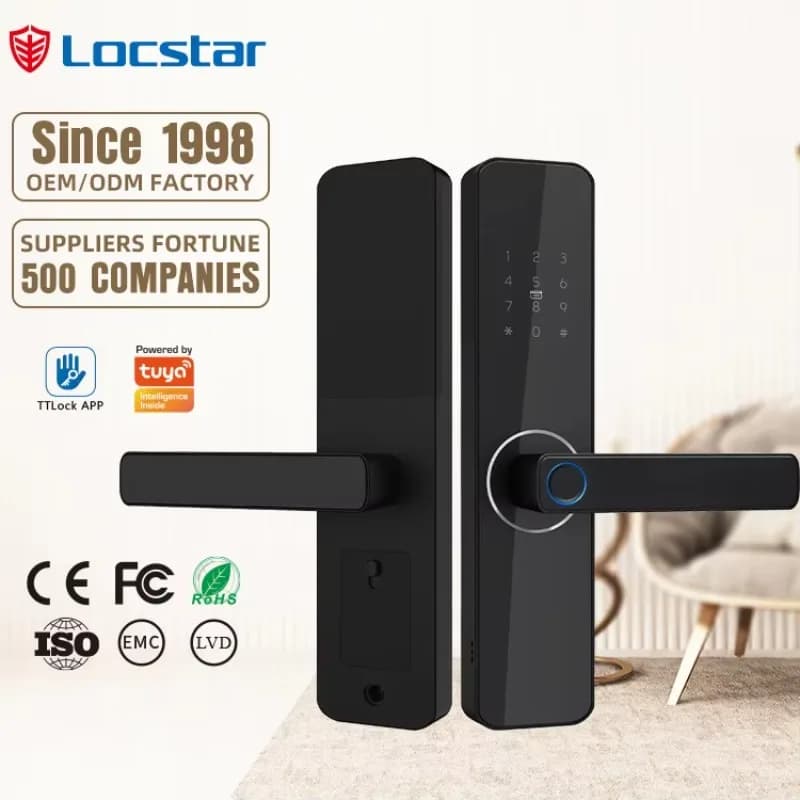 Hot Selling Safety Outdoor Waterproof TTlock Tuya Digital Fingerprint Password House Smart Exterior Door Lock For Front Door